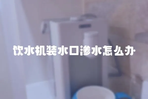 飲水機裝水口滲水怎么辦