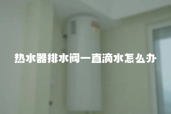 熱水器排水閥一直滴水怎么辦