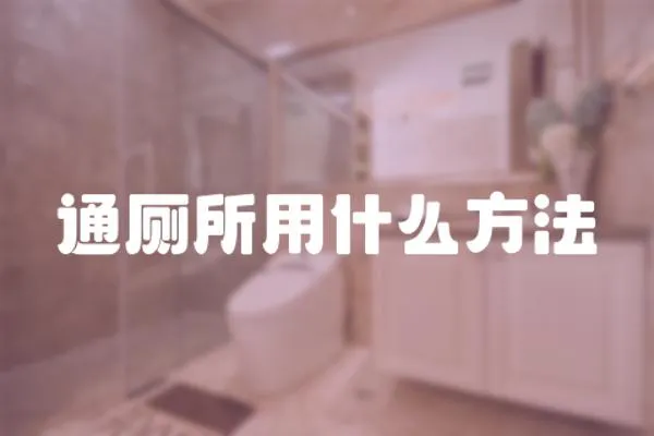 通廁所用什么方法