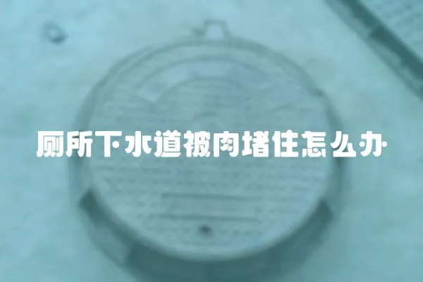 廁所下水道被肉堵住怎么辦