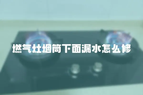 燃?xì)庠顭熗蚕旅媛┧趺葱?></a></div>
                    </div>
                    <div   id=