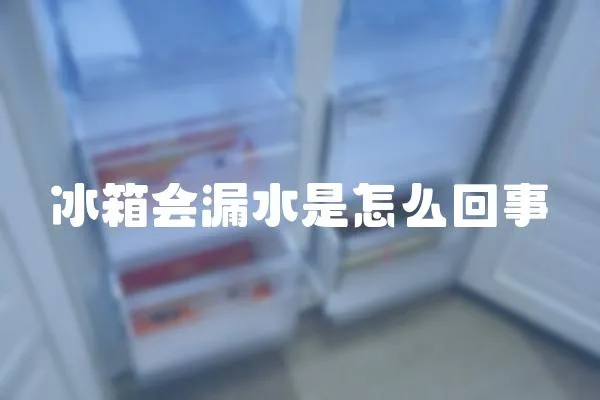 冰箱會漏水是怎么回事