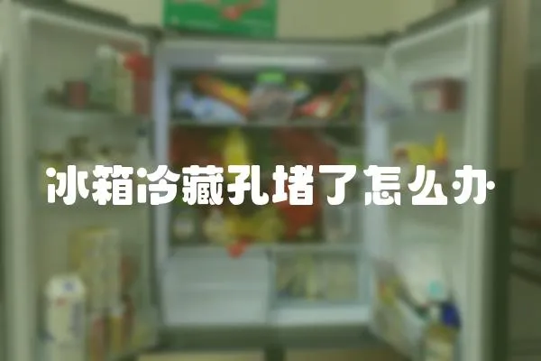 冰箱冷藏孔堵了怎么辦