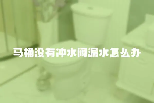 馬桶沒有沖水閥漏水怎么辦
