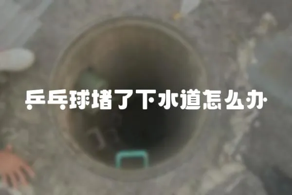 乒乓球堵了下水道怎么辦