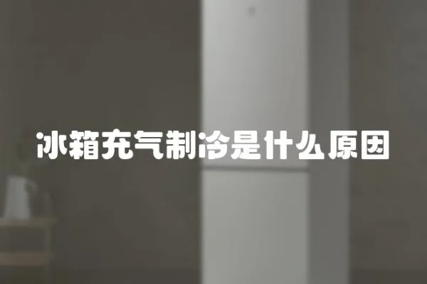 冰箱充氣制冷是什么原因