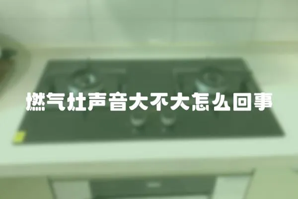 燃?xì)庠盥曇舸蟛淮笤趺椿厥?></a></div>
                    <div   id=