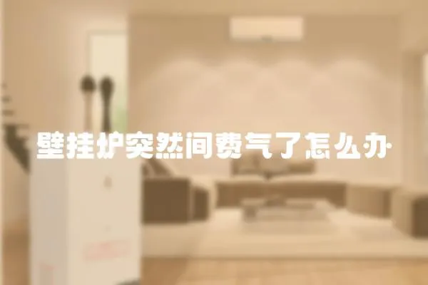 壁掛爐突然間費氣了怎么辦