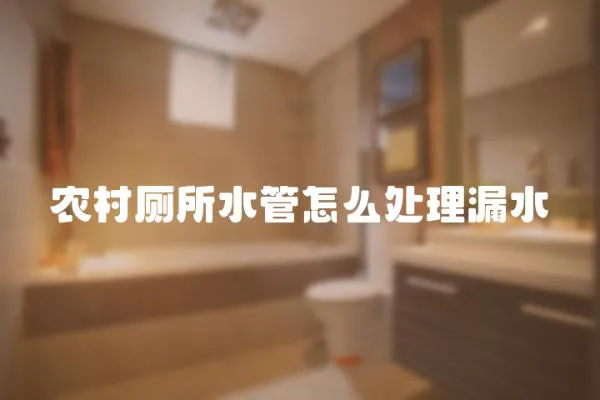 農村廁所水管怎么處理漏水