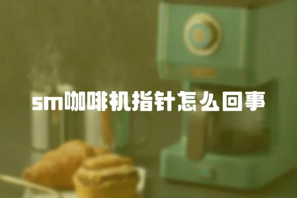 sm咖啡機指針怎么回事