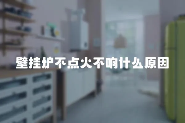 壁掛爐不點(diǎn)火不響什么原因