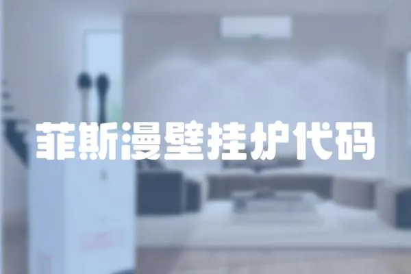 菲斯漫壁掛爐代碼