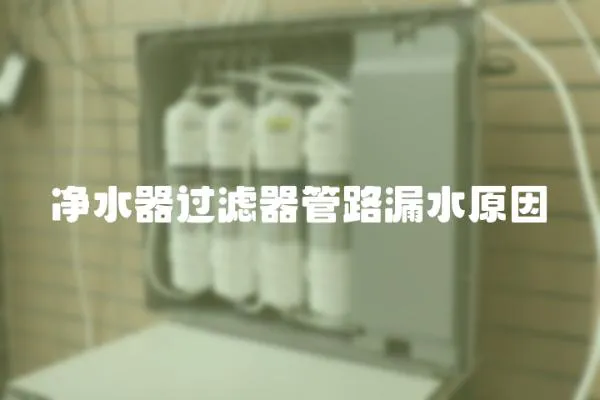 凈水器過濾器管路漏水原因