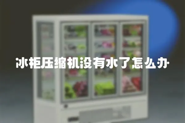 冰柜壓縮機沒有水了怎么辦