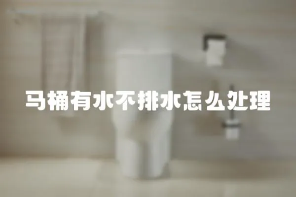 馬桶有水不排水怎么處理