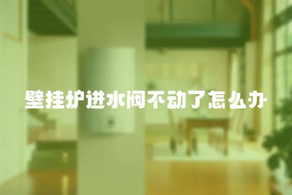 壁掛爐進水閥不動了怎么辦