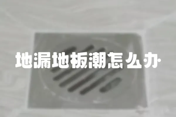 地漏地板潮怎么辦