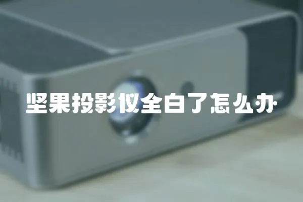 堅果投影儀全白了怎么辦