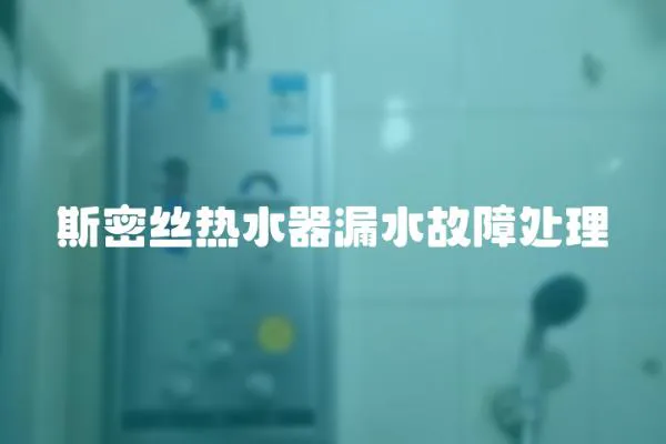 斯密絲熱水器漏水故障處理
