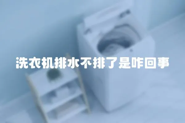 洗衣機排水不排了是咋回事