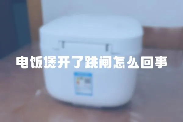 電飯煲開了跳閘怎么回事