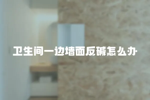 衛生間一邊墻面反堿怎么辦
