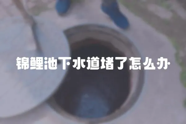 錦鯉池下水道堵了怎么辦