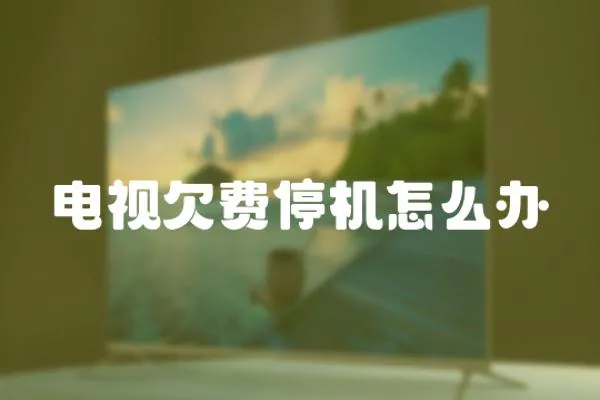 電視欠費停機怎么辦