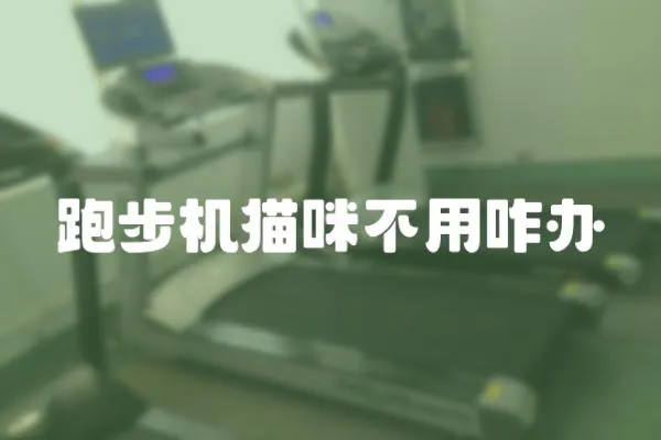 跑步機貓咪不用咋辦