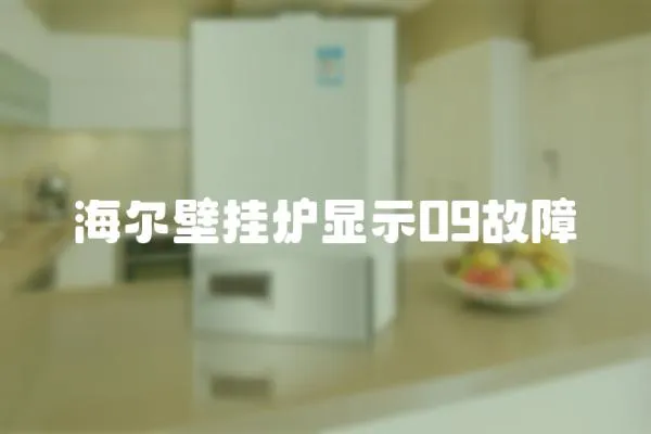海爾壁掛爐顯示09故障
