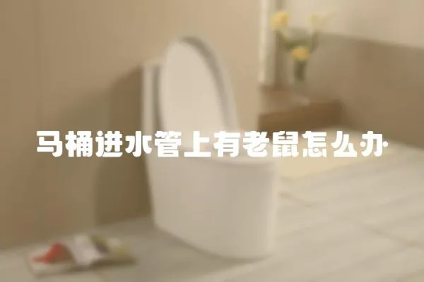馬桶進(jìn)水管上有老鼠怎么辦