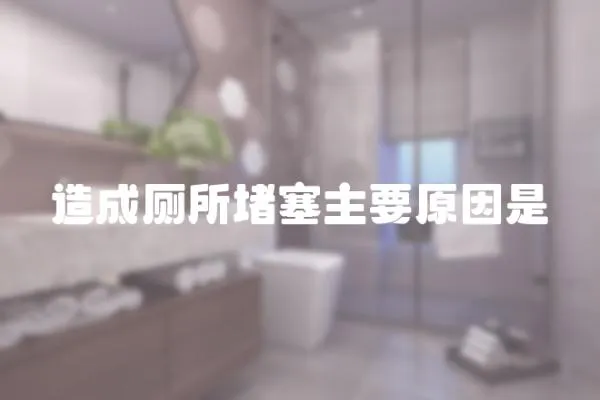 造成廁所堵塞主要原因是