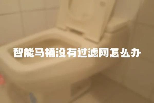 智能馬桶沒有過濾網怎么辦