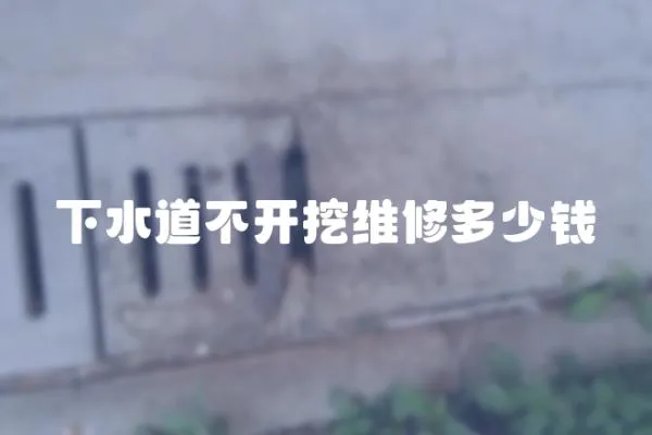 下水道不開挖維修多少錢