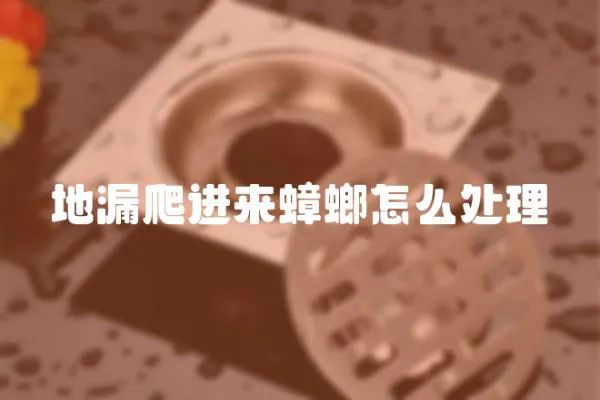 地漏爬進(jìn)來蟑螂怎么處理