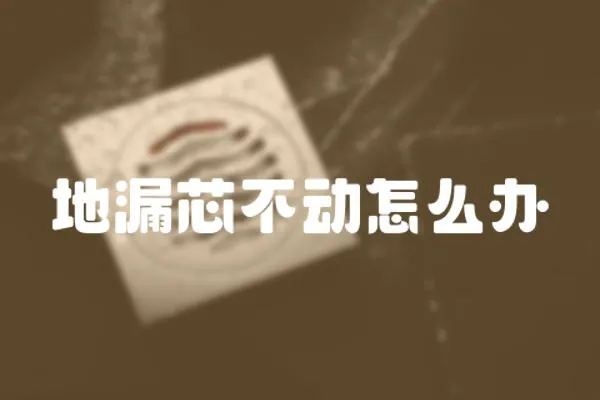 地漏芯不動怎么辦