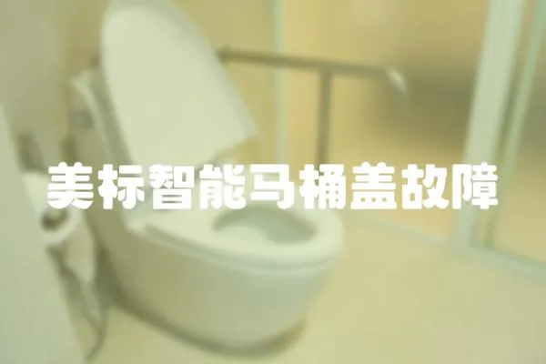 美標智能馬桶蓋故障