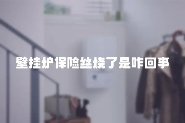 壁掛爐保險絲燒了是咋回事