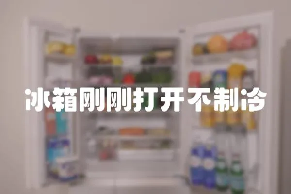 冰箱剛剛打開不制冷