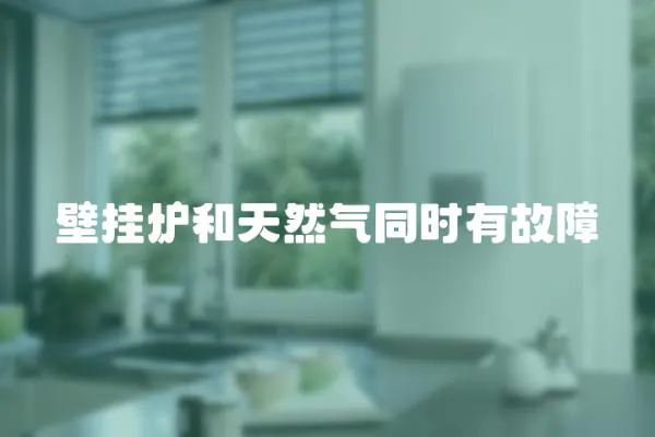 壁掛爐和天然氣同時有故障