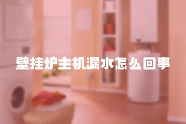 壁掛爐主機漏水怎么回事