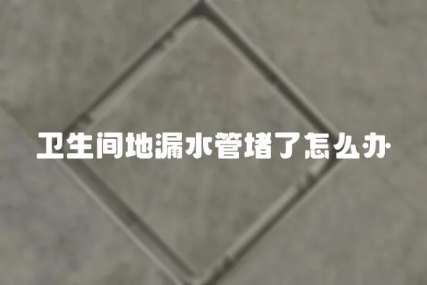 衛(wèi)生間地漏水管堵了怎么辦