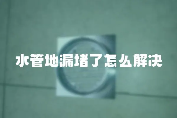 水管地漏堵了怎么解決