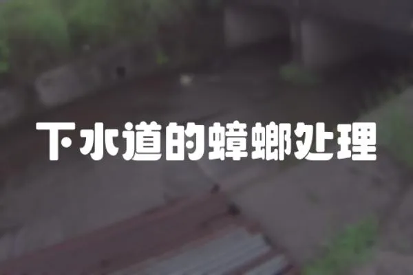 下水道的蟑螂處理