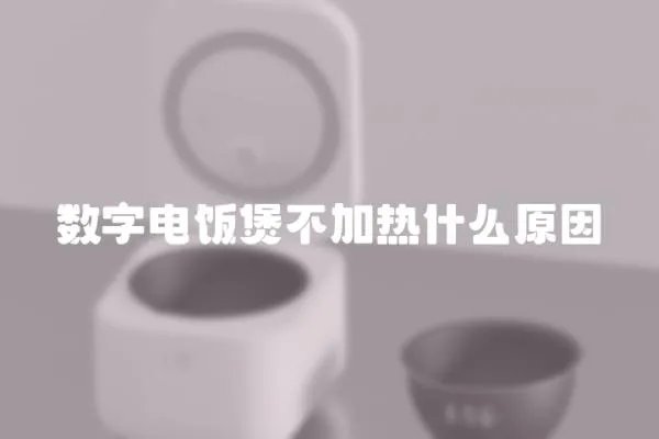 數(shù)字電飯煲不加熱什么原因
