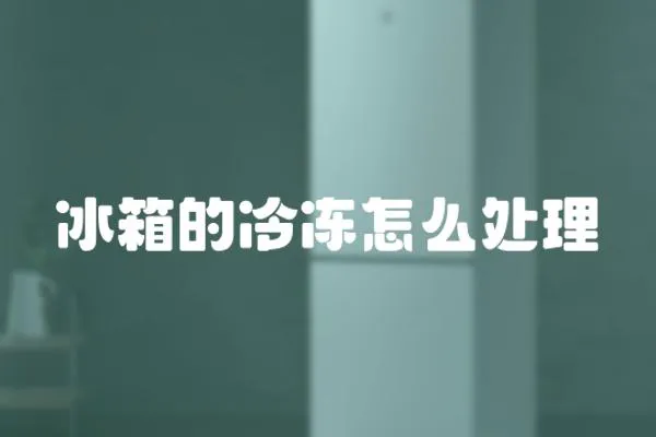 冰箱的冷凍怎么處理