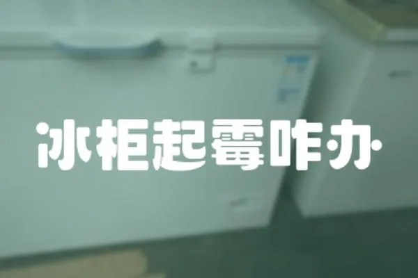 冰柜起霉咋辦