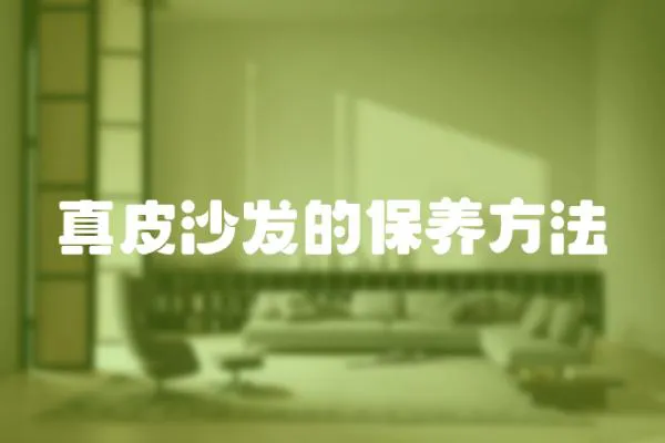 真皮沙發的保養方法