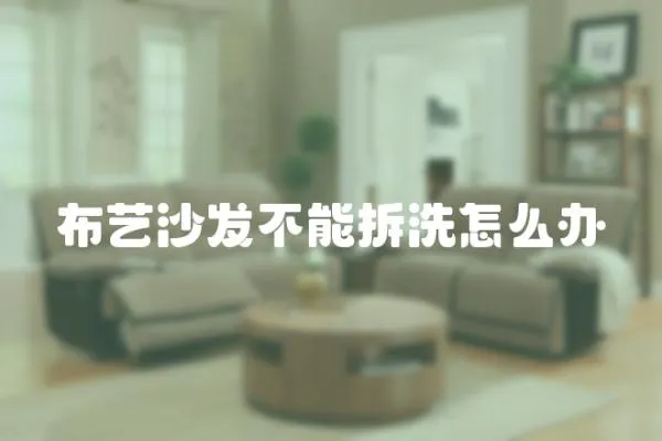 布藝沙發不能拆洗怎么辦