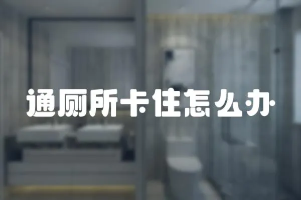 通廁所卡住怎么辦